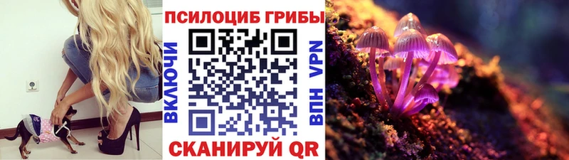 Псилоцибиновые грибы прущие грибы  Лахденпохья 
